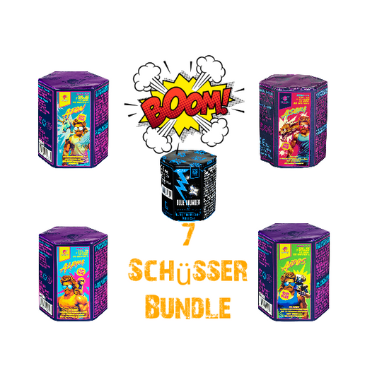 Albert 7 Schüsser Bundle
